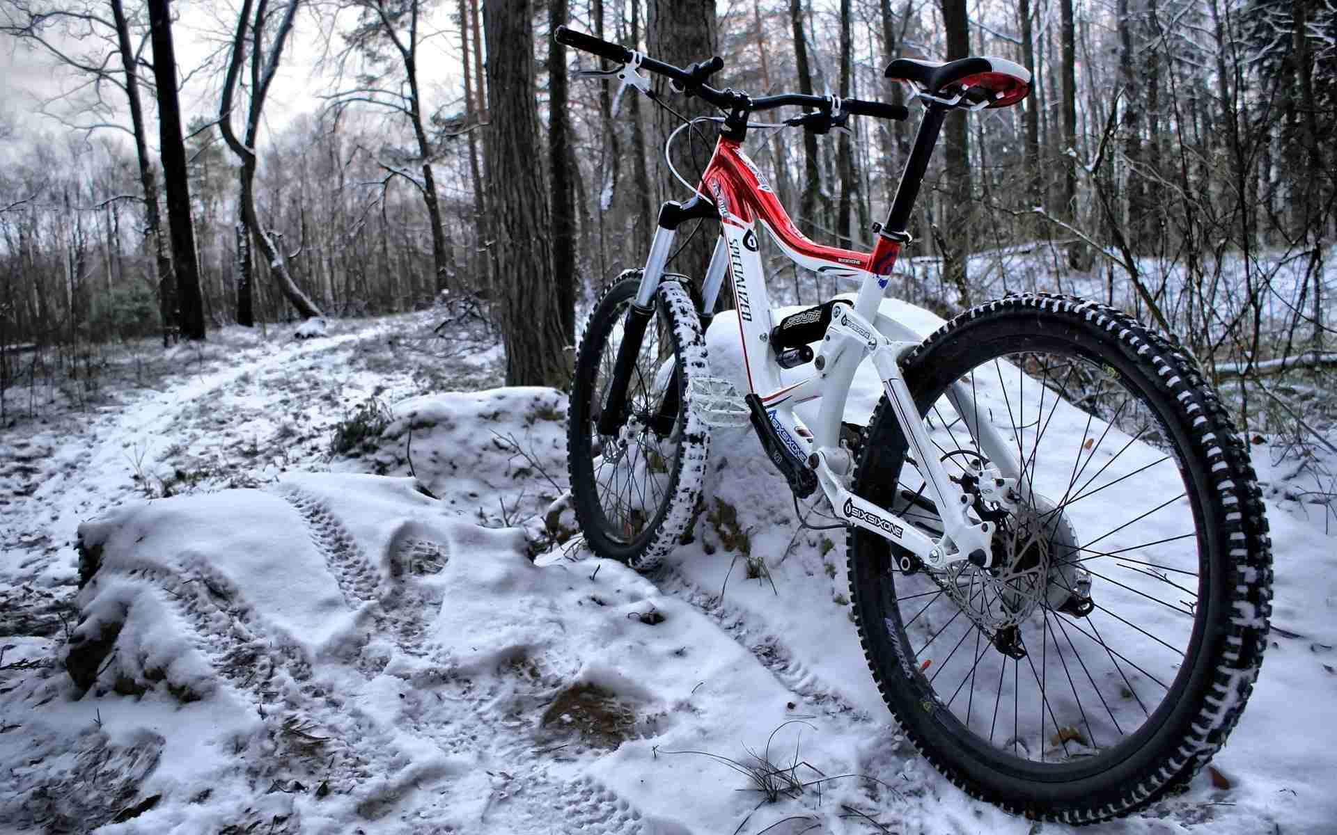 Спорт Экстрим горный велосипед, лес, следы, снег обои рабочий стол