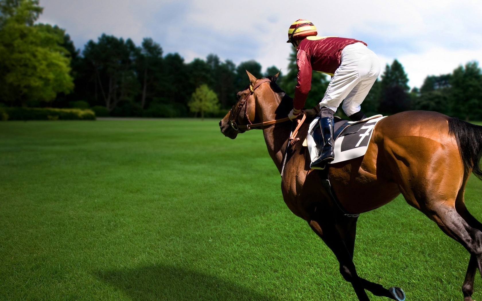 Спорт Экстрим Конный спорт, лошадь, наездник обои рабочий стол