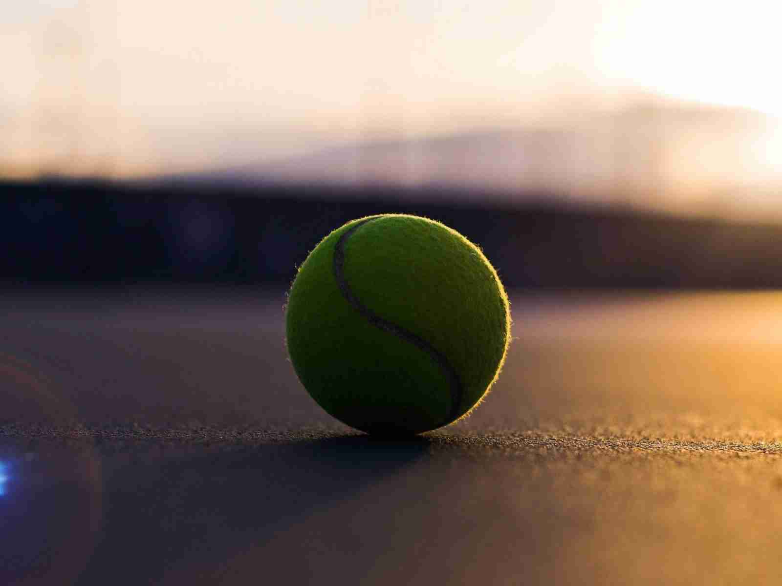 Спорт Теннис теннисный мяч, асфальт, тень обои рабочий стол