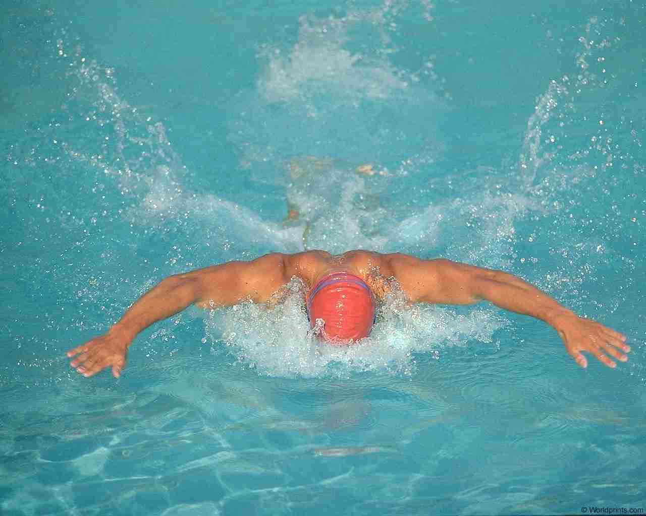 Спорт Экстрим плавание, бассейн, мужчина, мускулы, руки обои рабочий стол